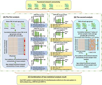 Aging brain shows joint declines in brain within-network connectivity and between-network connectivity: a large-sample study (N > 6,000)